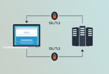 تصویر از گواهی SSL چیست و چه تفاوتی با TLS دارد؟
